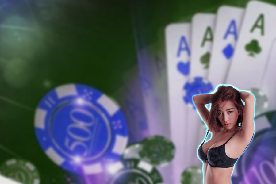 เคล็ดลับแทงบาคาร่าibให้ชนะ เคล็ดลับแทงบาคาร่าibให้ชนะ